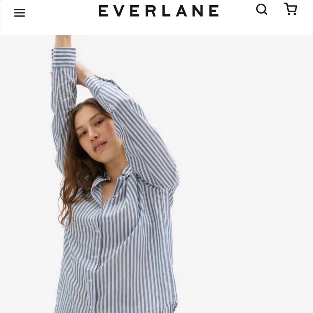 Everlane the Relaxed Air Shirt blue and white button up shirt size 2